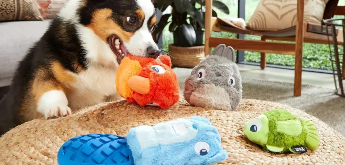 Choosing the Perfect Pet Toys for Cats and Dogs