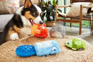 Choosing the Perfect Pet Toys for Cats and Dogs