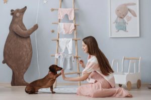 The Art and Science of Pet Training for Cats and Dogs